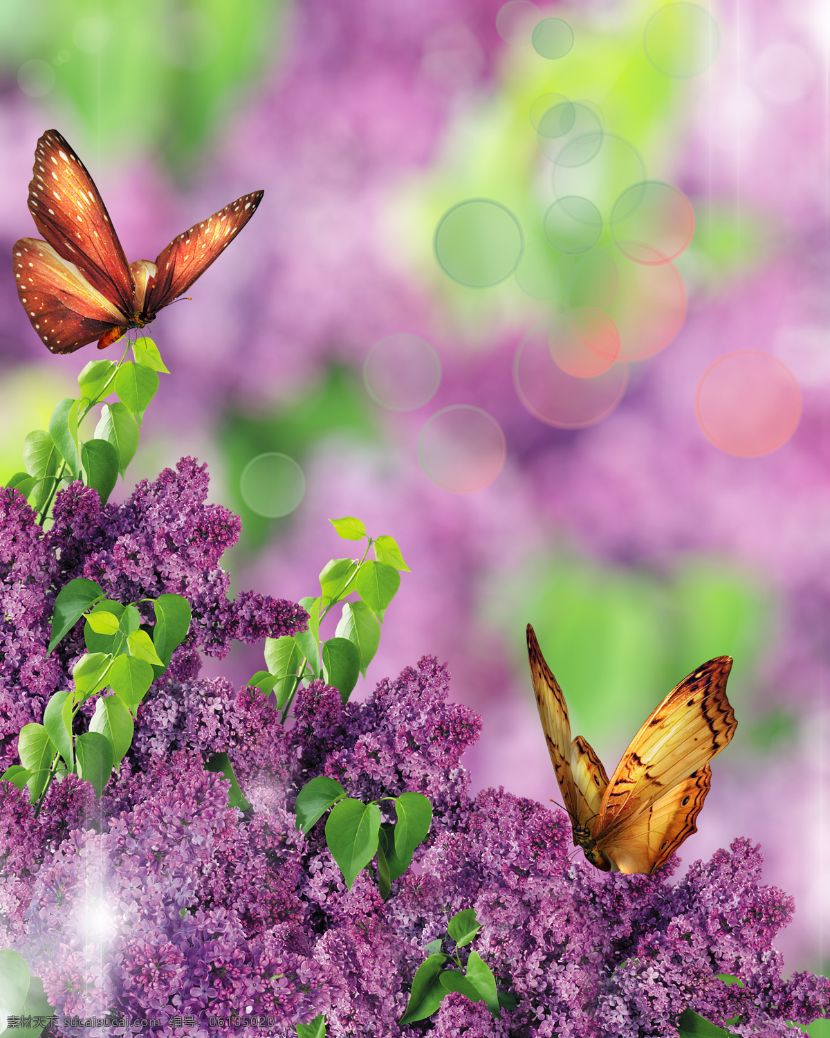 蝴蝶与花 彩蝶戏花 花丛中的蝴蝶 紫色