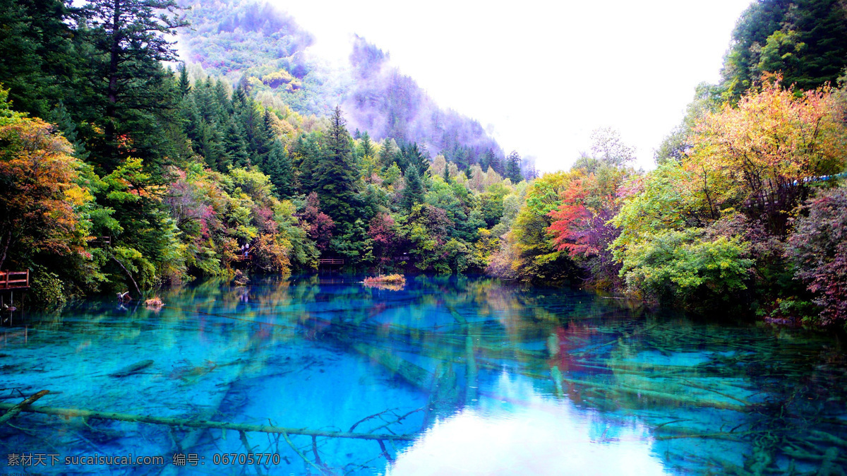 九寨沟 树木 青山 绿水 湖泊 青山绿水 倒影 风景 自然风景 旅游摄影