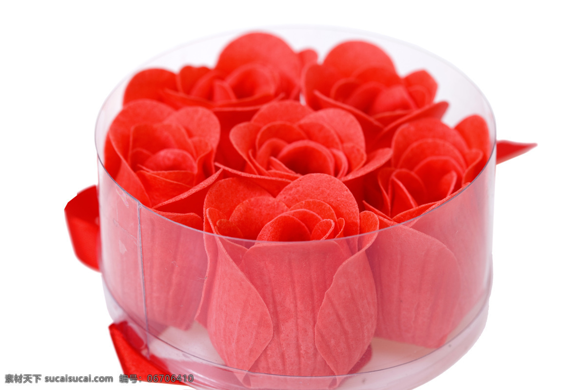 塑料盒 内 红色 玫瑰花 红玫瑰 红色玫瑰花 高清 爱情 花朵 高清图片 礼物 花草树木 生物世界