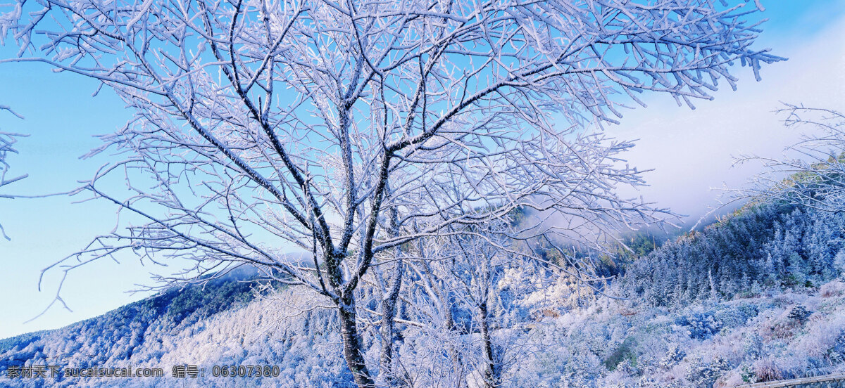 冬天 雪景 背景 冬天雪景 风光 风景 季节 摄影图库 自然 自然风景 自然景观 生活 旅游餐饮