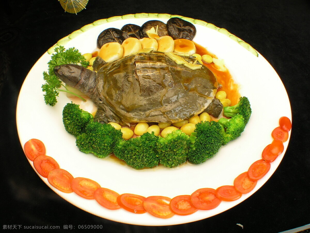 福禄寿 甲鱼 营养 菜 美味 菜肴 中华美食 餐饮美食 食物