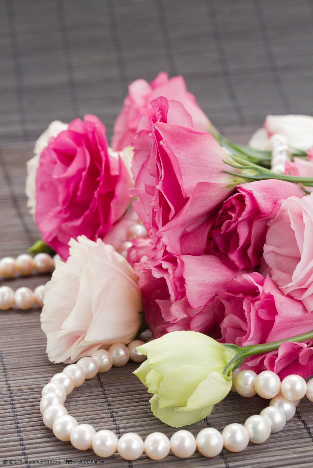 唯美 珍珠 项链 粉色 玫瑰花 特写 花朵 鲜花 花束