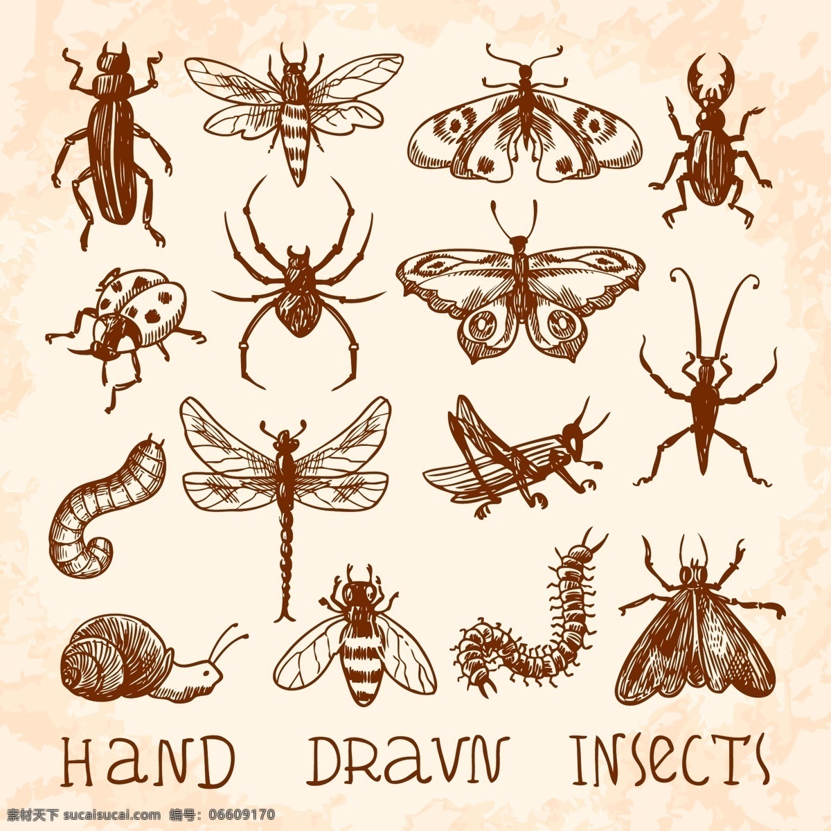 组 简约 昆虫 元素 可爱 卡通 卡哇伊 矢量素材 动物 小动物 创意设计 创意 生物元素 动物元素