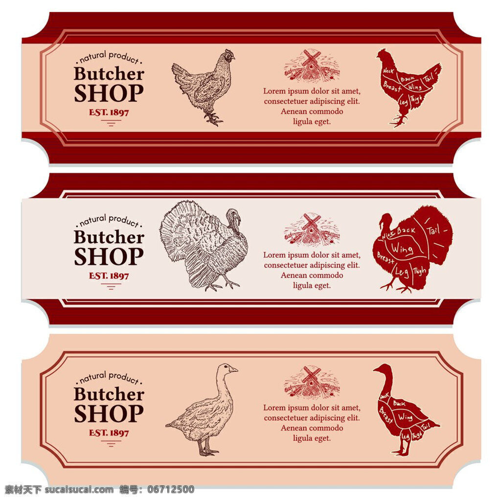 公鸡 家禽 标签 动物标签 创意标签 矢量标签 标签设计 家禽标签下载