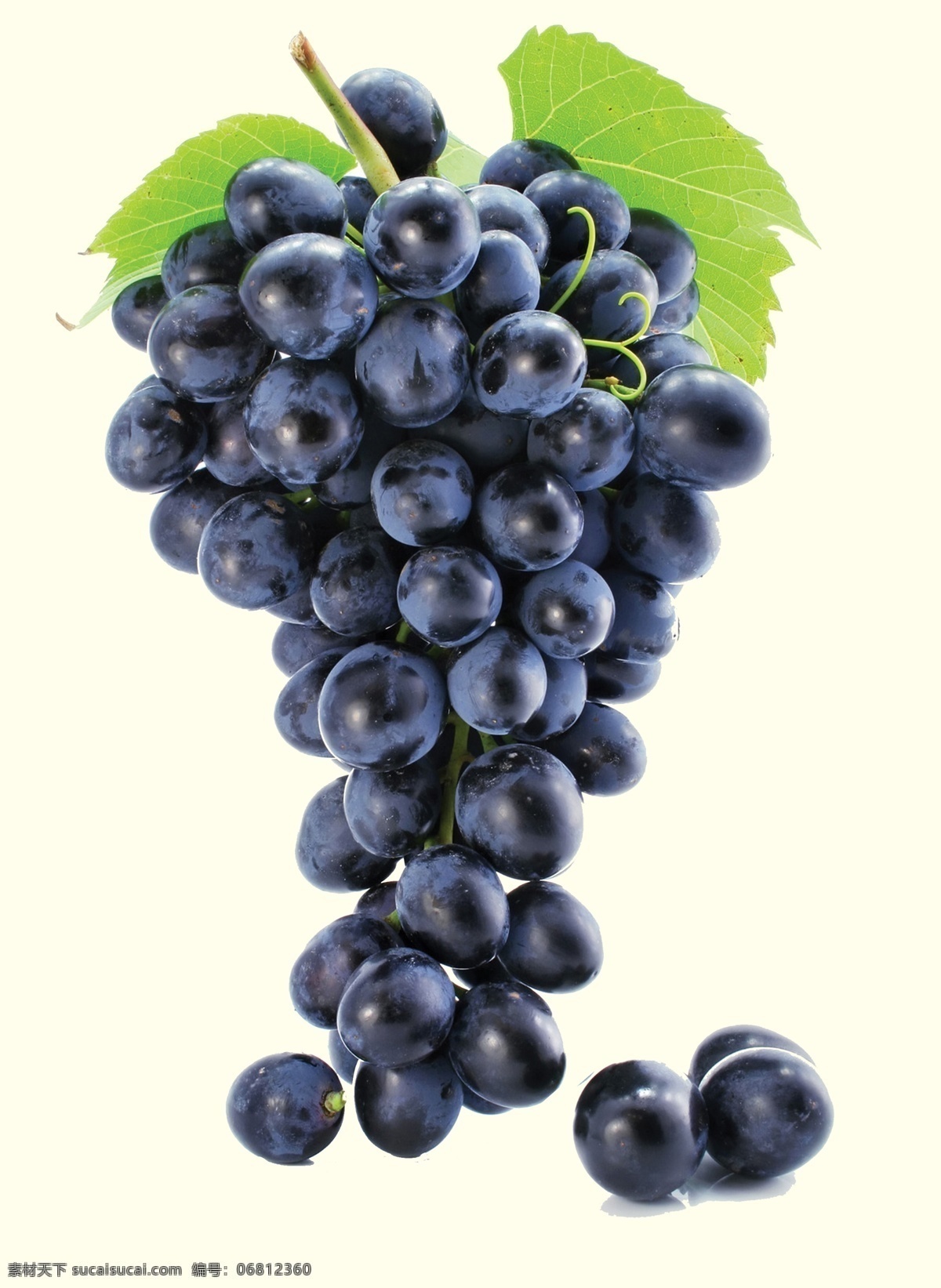 葡萄图片 葡萄 水果 葡萄素材 水果素材