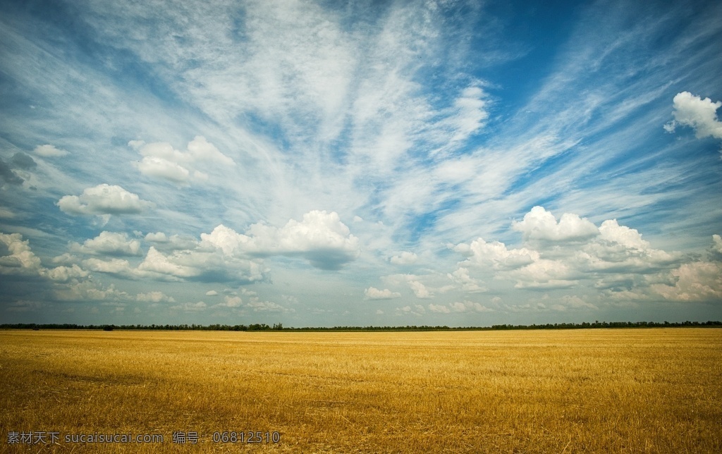 稻谷图片 蓝天白云 稻穗 黄金稻谷 宽大 天空 自然景观 田园风光