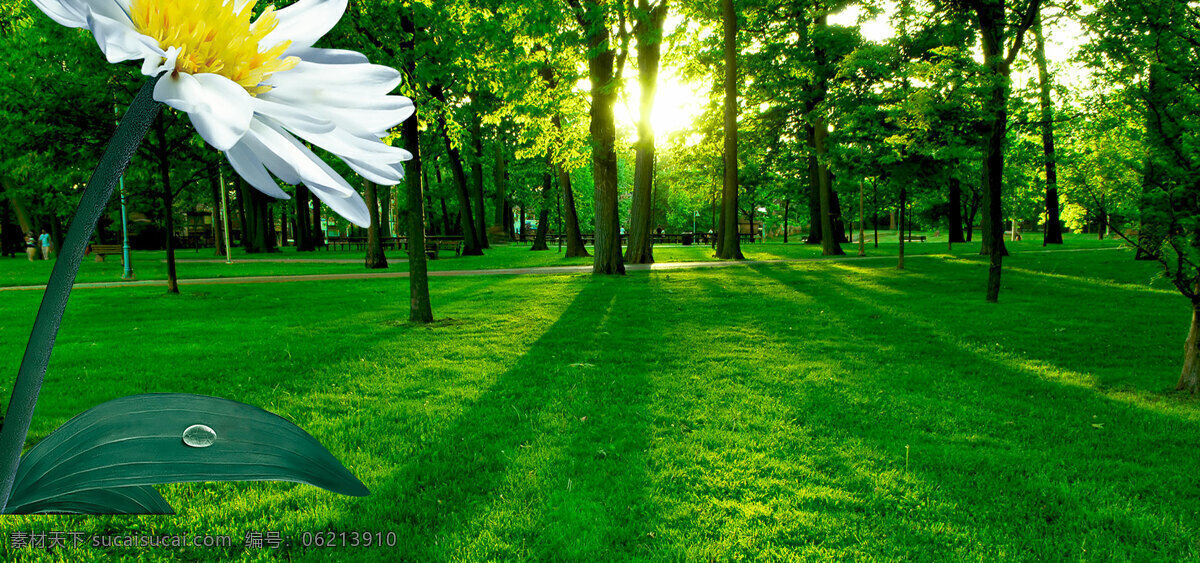 清新 绿色 森林 大树 banner 背景 白色花朵 绿色森林
