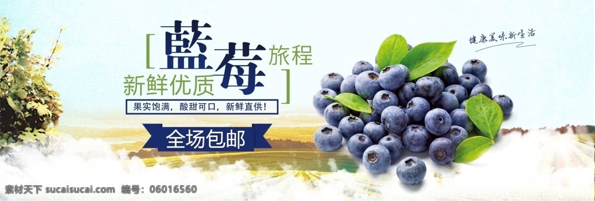 清新 水果 食品 蓝莓 新鲜 美食 淘宝 banner 自然 白云 健康 电商 海报