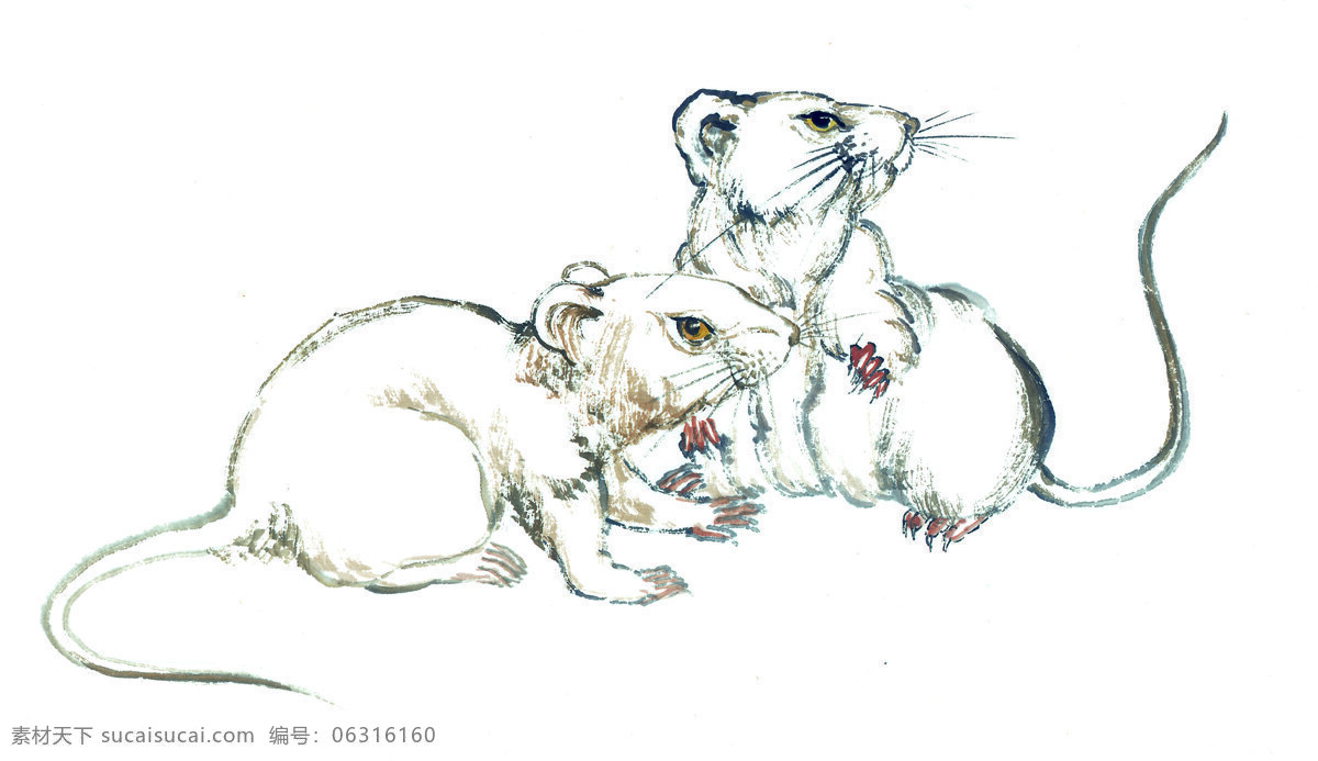 老鼠免费下载 12生肖 耗子 老鼠 中国风 中国画 插画集
