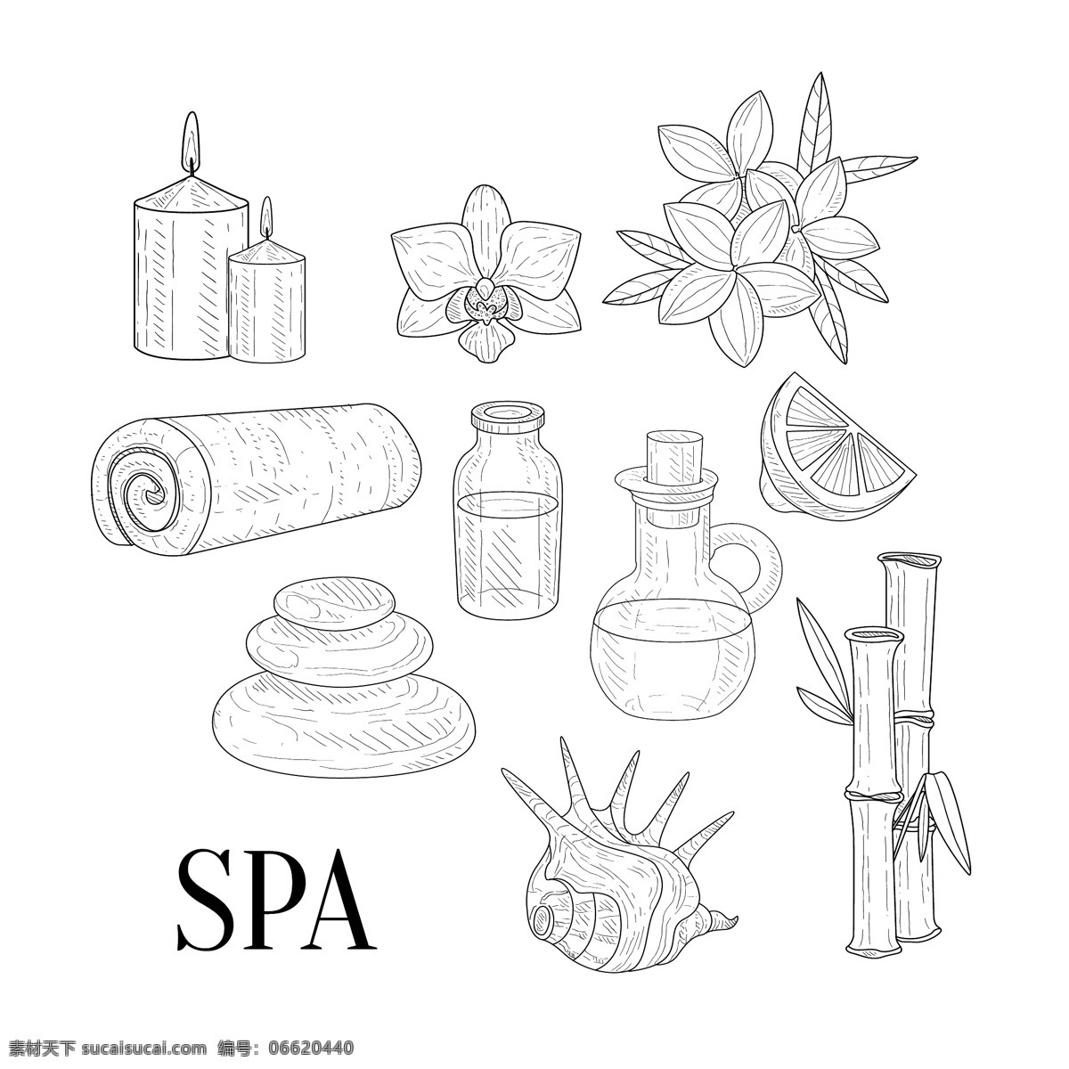 手绘 黑白 美容 spa 用品 静物 线条 蜡烛 花朵 毛巾 精油 竹子 海螺