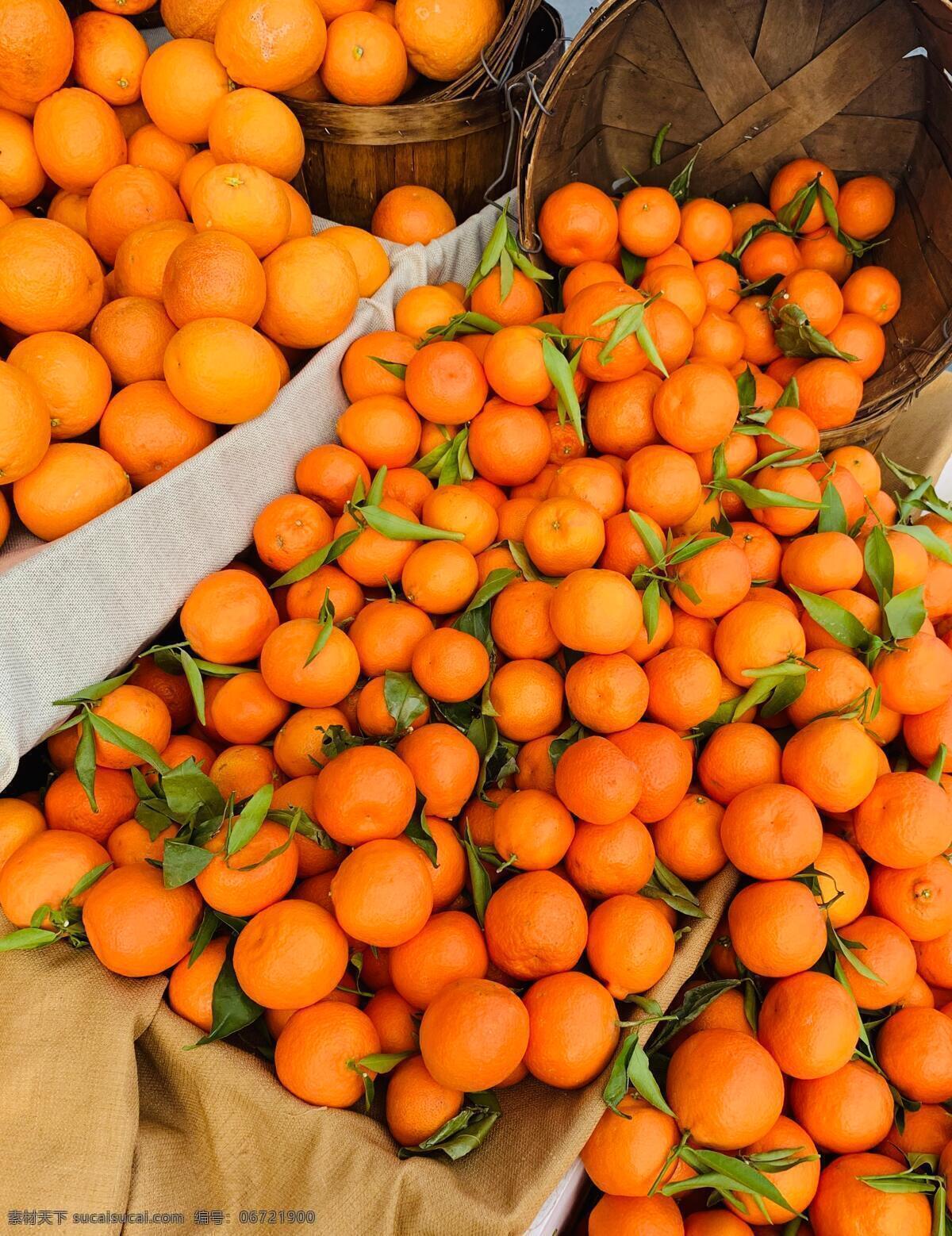 新鲜水果桔子 美味 新鲜 水果 桔子 橙子 生物世界
