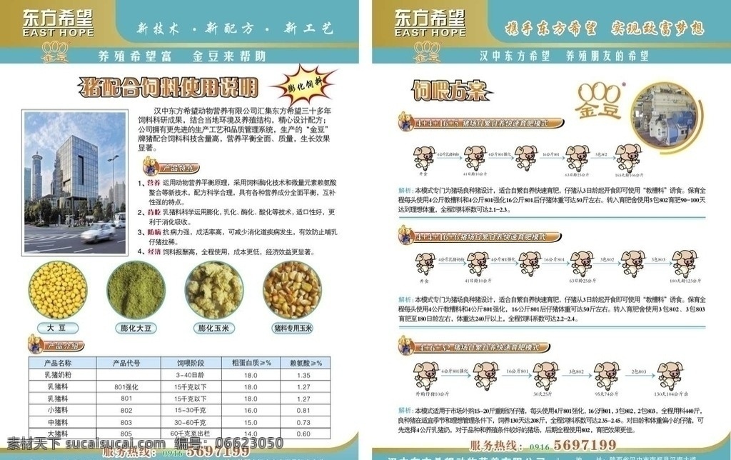 猪配合改 希望饲料 东方希望 饲料方案 dm宣传单 矢量