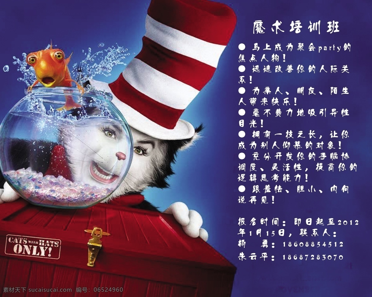魔术 培训 海报 广告设计模板 金鱼 蓝背景 猫 箱子 源文件 魔术培训海报 企业文化海报