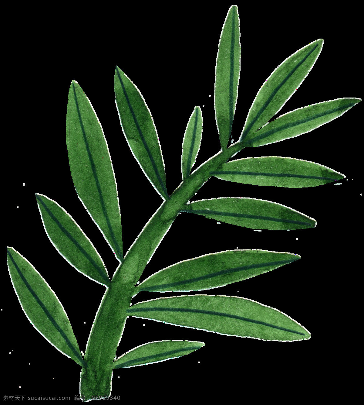 手绘植物叶片素材图片下载-素材编号06929340-素材天下图库