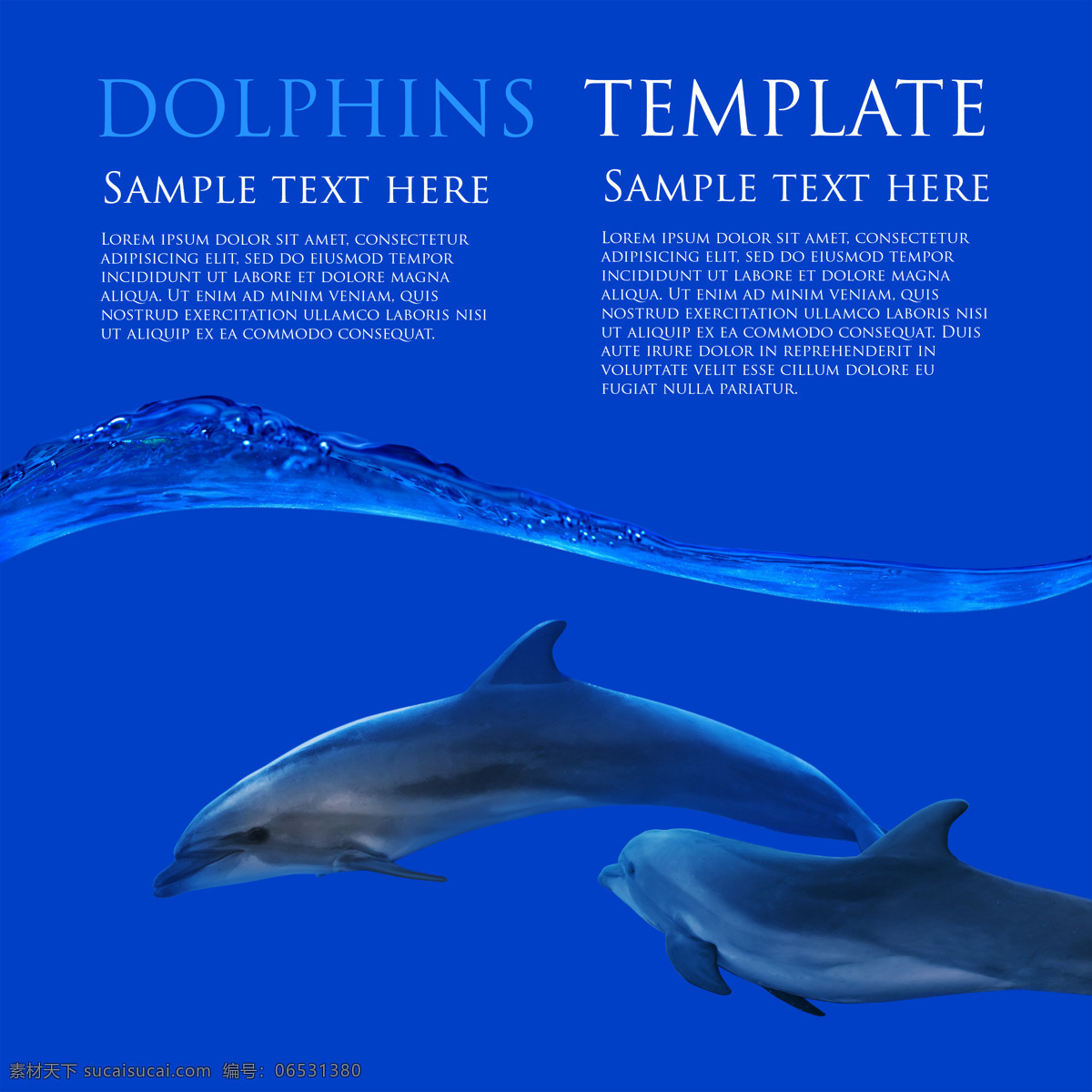 海鲜 海报 展板 海报素材 展板素材 鱼 鱼素材 海鲜素材 海豚 海豚素材 海鲜海报 蓝色 蓝色背景 经典蓝色 大海图片 风景图片