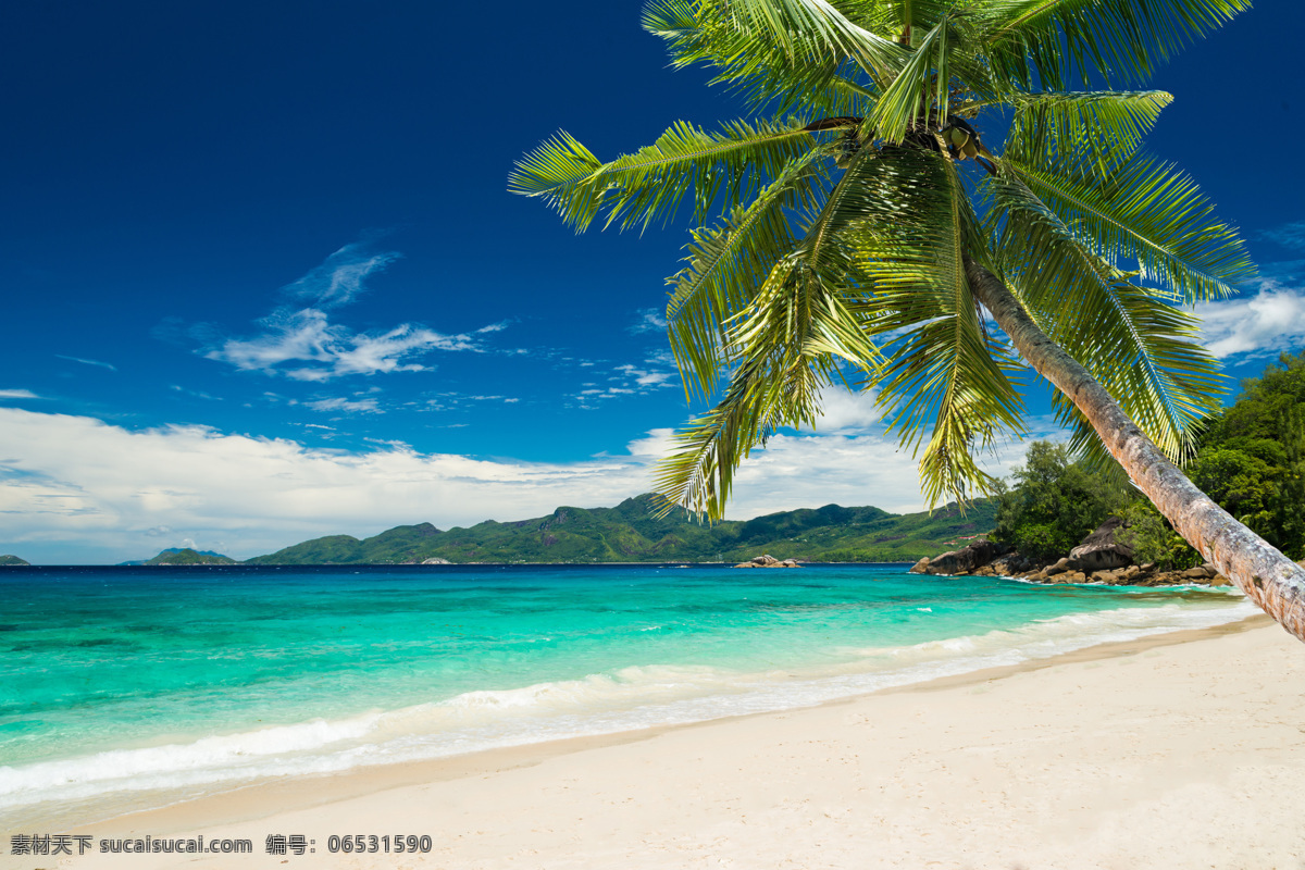 蓝天 下 沙滩 美景 自然风景 海边风景 海水 树木 椰树 山水风景 风景图片