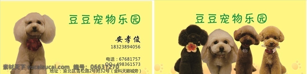 宠物 名片 宠物名片 宠物医院 宠物vip卡 兽医 兽医医院 宠物兽医名片 vip卡 动物名片 养殖名片 养殖 宠物用品 宠物店会员卡 宠物饲料名片 养殖饲料名片 狗名片 宠物狗 宠物诊所名片 宠物市场名片 兽药 兽药名片 店 vip 卡 宠物猫 卡通 卖宠物 养宠物 宠物店 宠物店名片 名片卡片