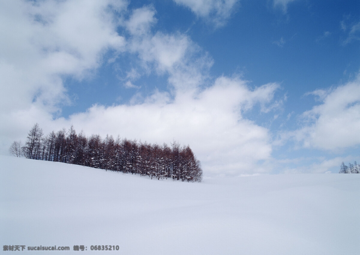 冰雪 景象 雪景 冰雪景象 雪冰 风景 生活 旅游餐饮