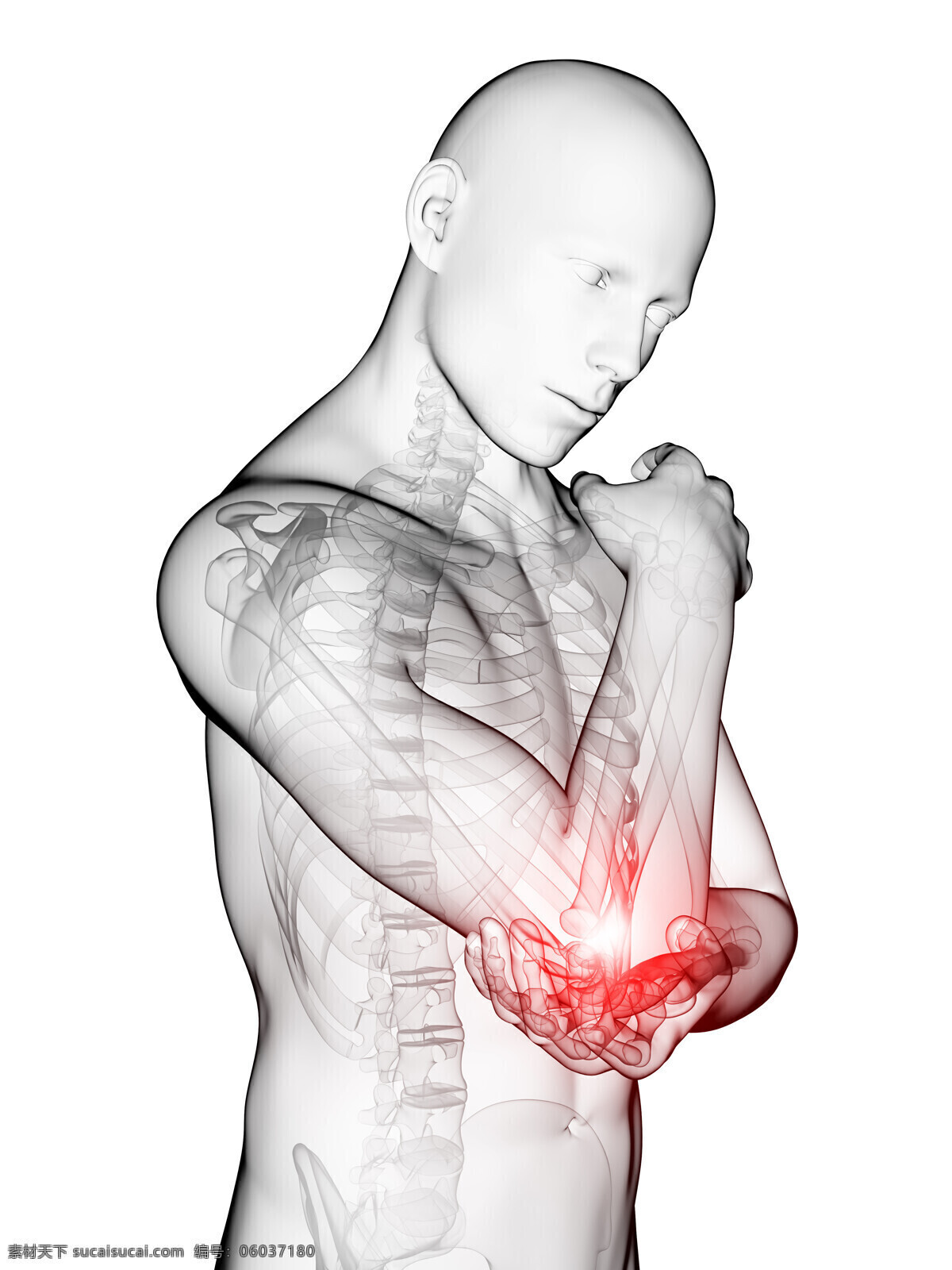 肘关节 痛 肘关节痛 人体器官 人体器官组织 人体医学 医疗护理 现代科技