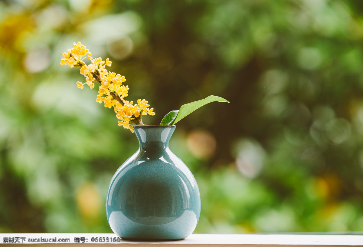 桌子 上 花瓶 美丽 插花 精致 建筑景观 生活百科 生活素材