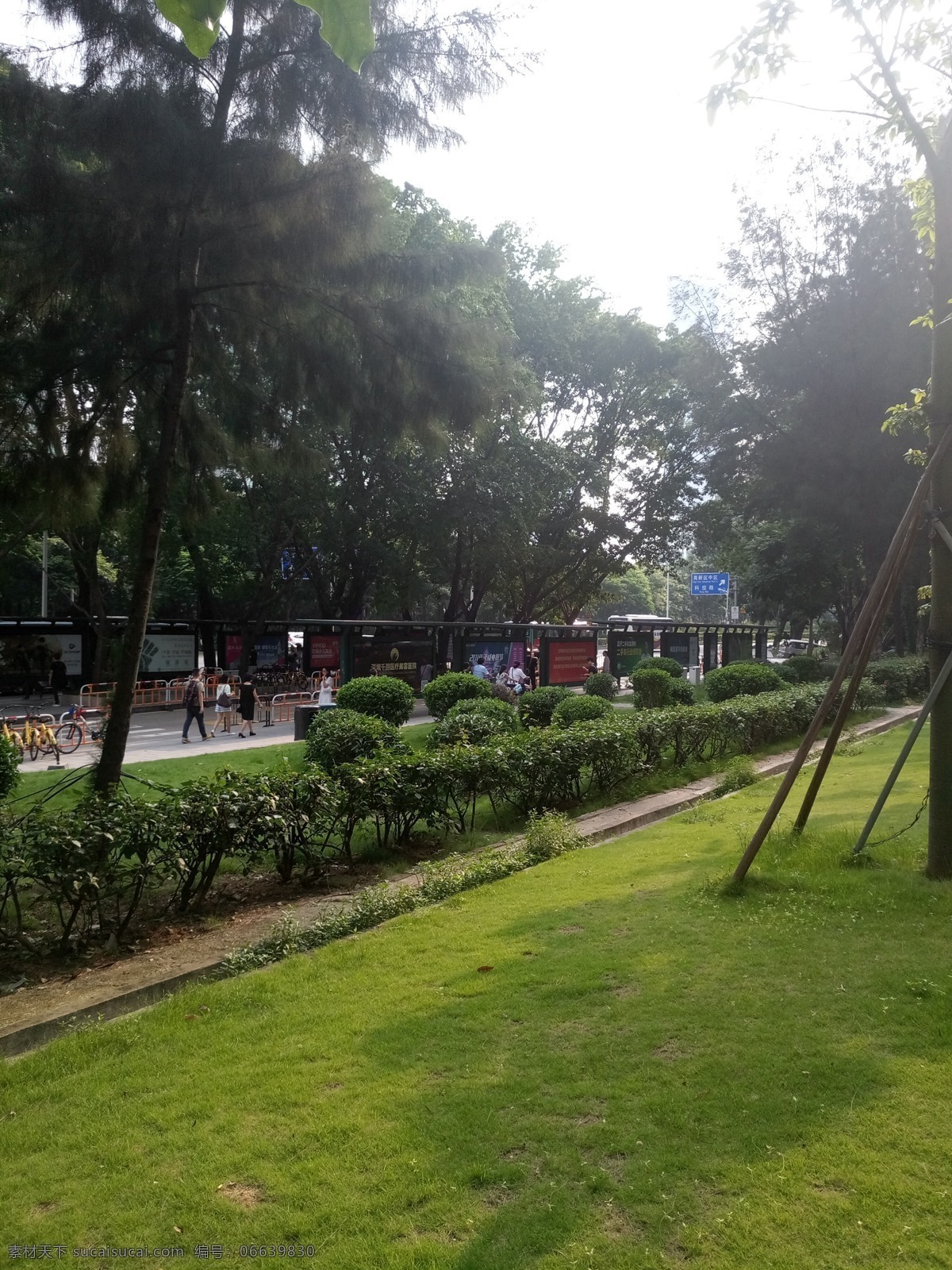 绿草坪 绿草地 花坛 绿地 绿色 拍照 旅游摄影 国内旅游