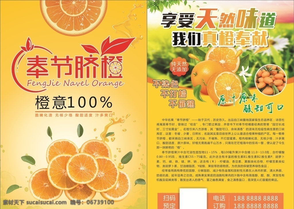 奉节 脐橙 中国橙都 dm 橙意 奉节脐橙介绍 矢量图