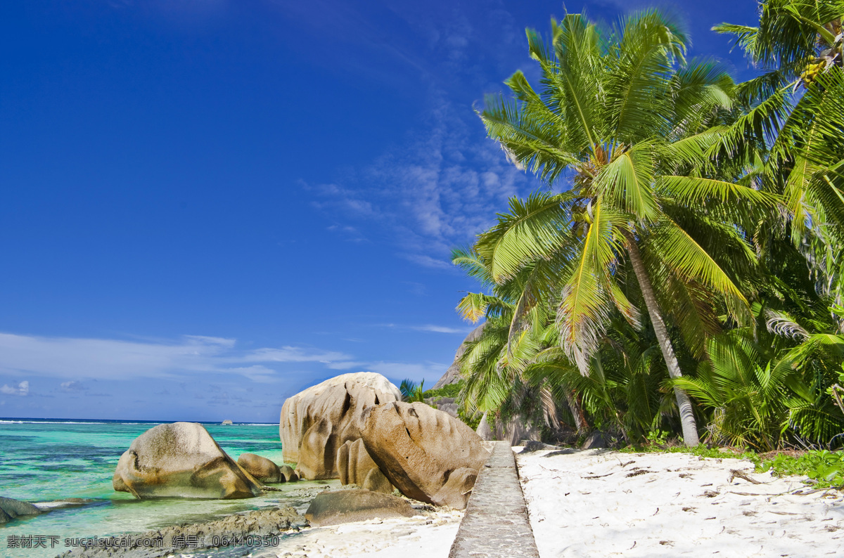 美丽海滩风景 沙滩美景 美丽海岸 美丽风景 景色 海景 椰树 蓝天白云 大海 海洋海边 自然景观 蓝色