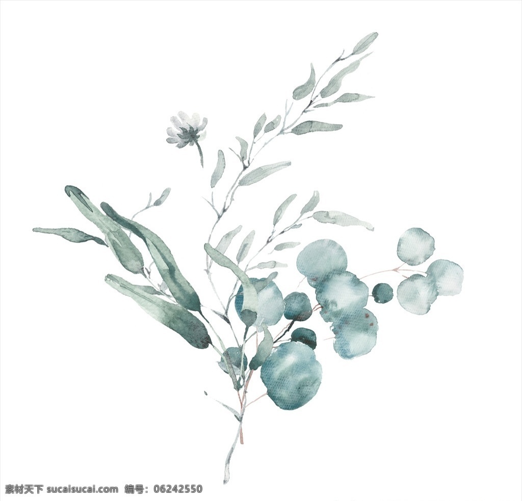 小 清新 水彩 植物 树枝 水彩画枝叶 淡色水彩叶子 植物树叶树枝 北欧装饰图案 小清新水彩 水彩装饰 欧式装饰 古希腊水彩 插画图案 文化艺术 绘画书法