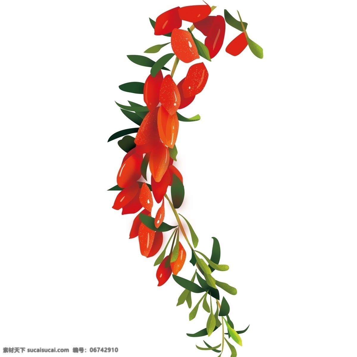 清新 红色 枸杞 装饰 元素 装饰元素 手绘 植物 水果 树叶 补血 中药