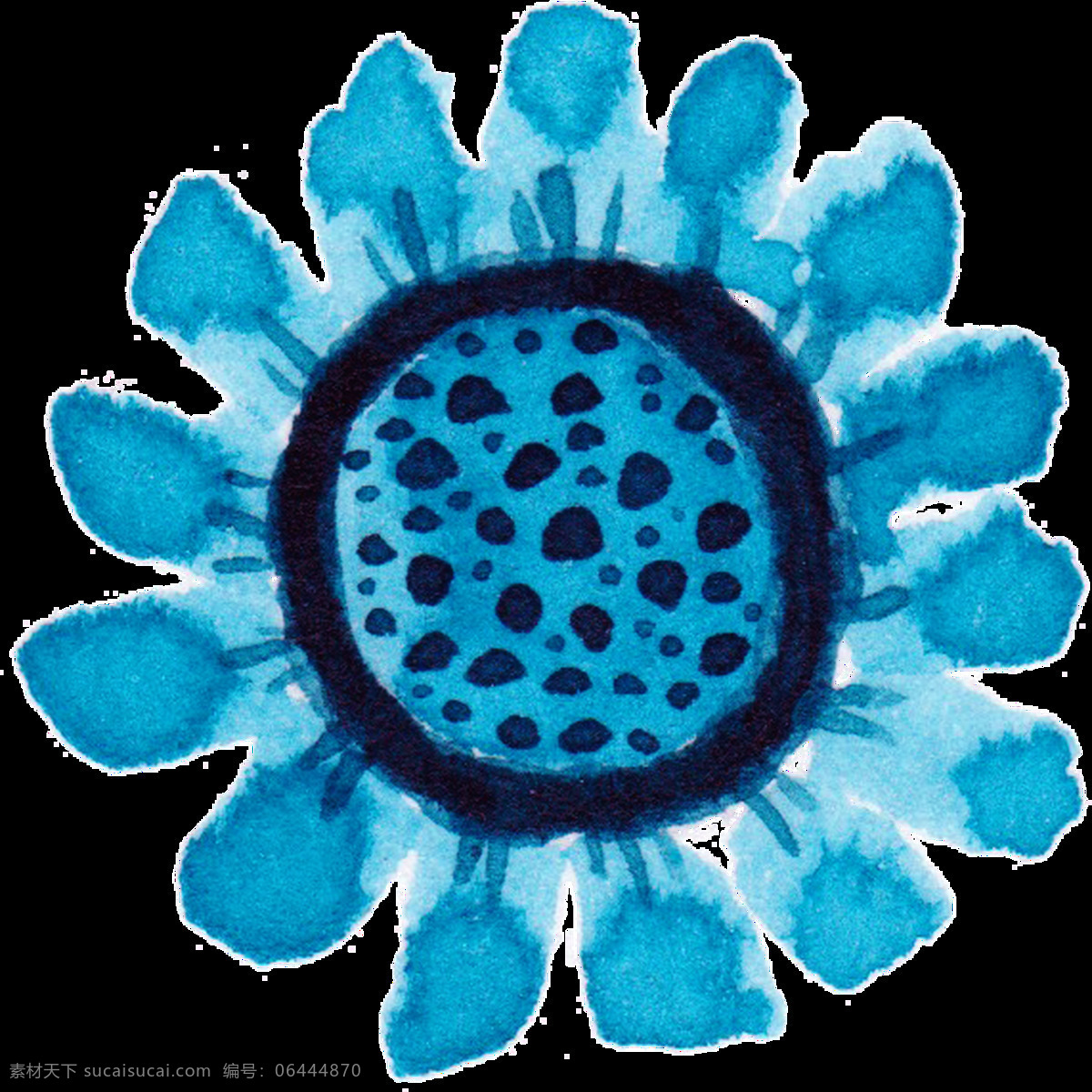 黑 兰 花蕾 卡通 透明 蓝色 花朵 透明素材 免扣素材 装饰图案