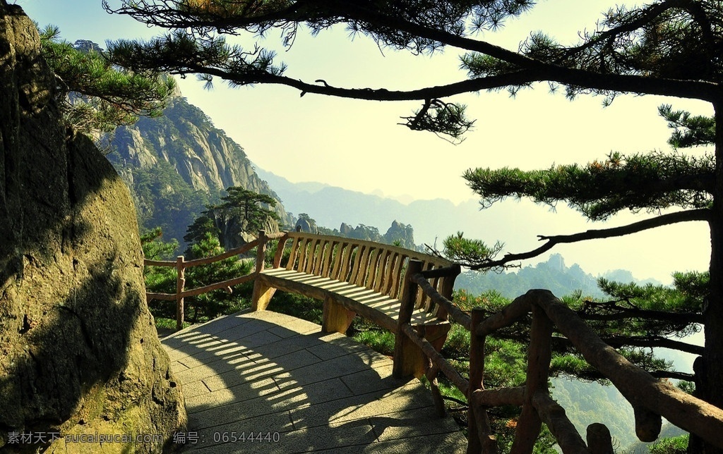 黄山椅子 黄山 黄山松 松树 椅子 奇松 天下第一奇山 风景名胜 自然景观