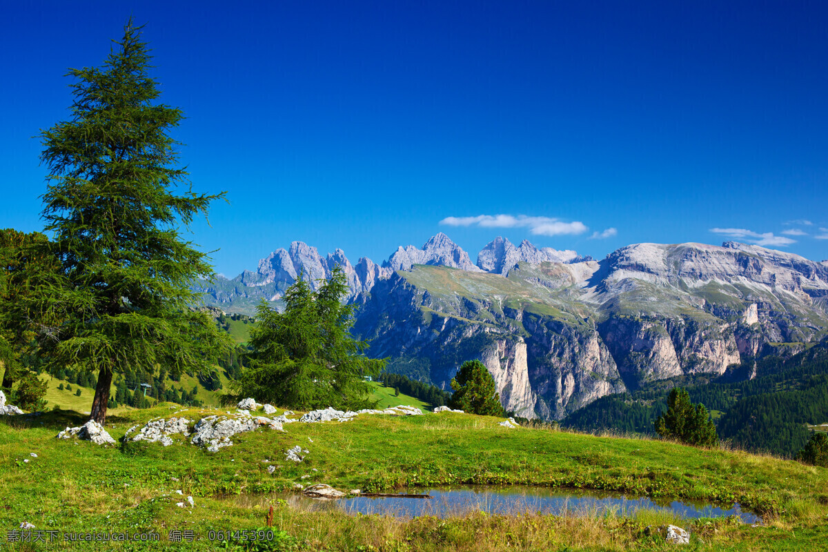 蓝色 天空 绿色 草地 蓝天 白云 树 水塘 山峰 山脉 山水风景 风景图片