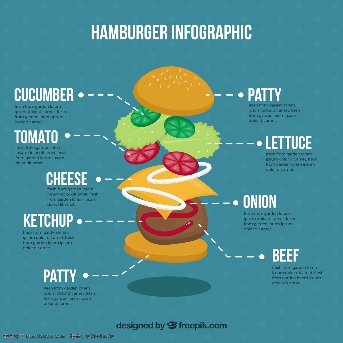汉堡包 成分 分布图 图表 食品 商业 模板 图形 蔬菜 水果 烹饪 汉堡 过程 图表模板 数据 信息 健康信息 业务信息图表 生长