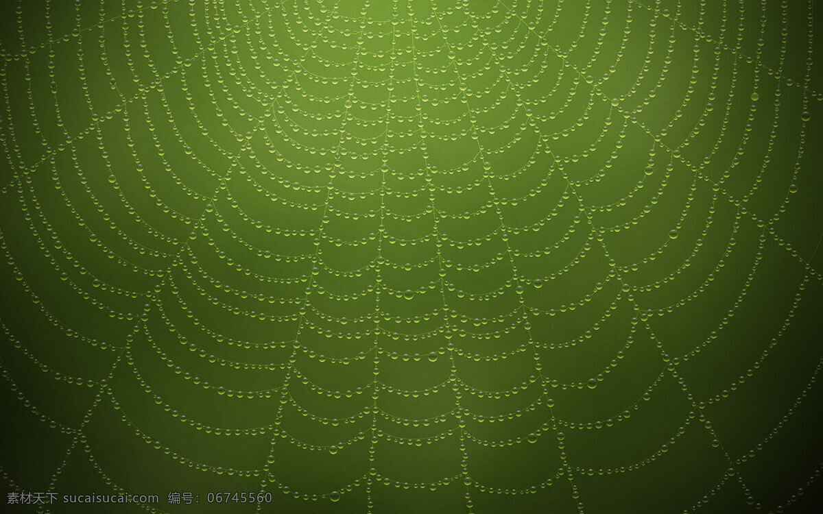 绿色 蜘蛛网 背景 背景图片