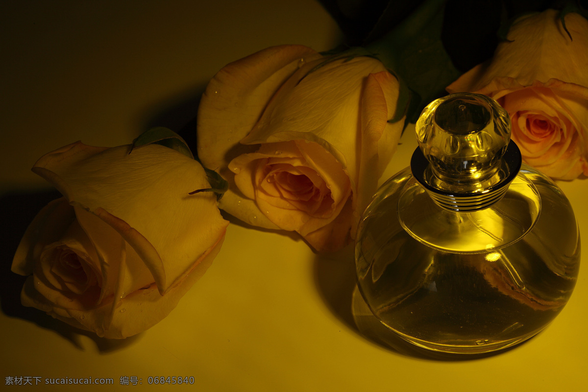 玫瑰花 精油 花卉 花朵 香油 美容精油 美容用品 生活用品 生活百科