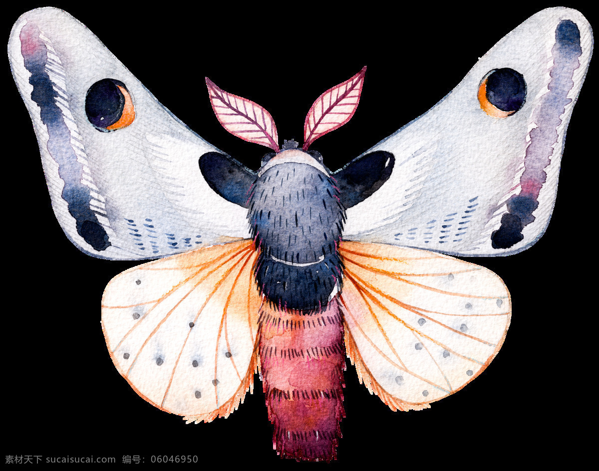 美丽 手绘 蝴蝶 透明 卡通 抠图专用 装饰 设计素材