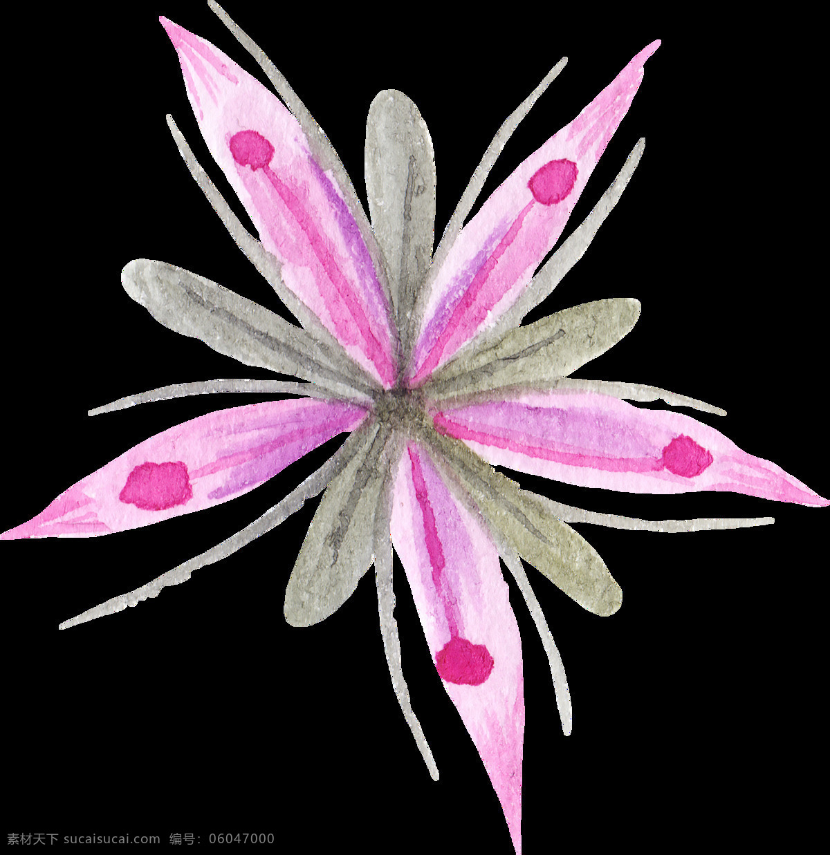 粉 心 花瓣 卡通 水彩 透明 花束 黑色 透明素材 免扣素材 装饰图案