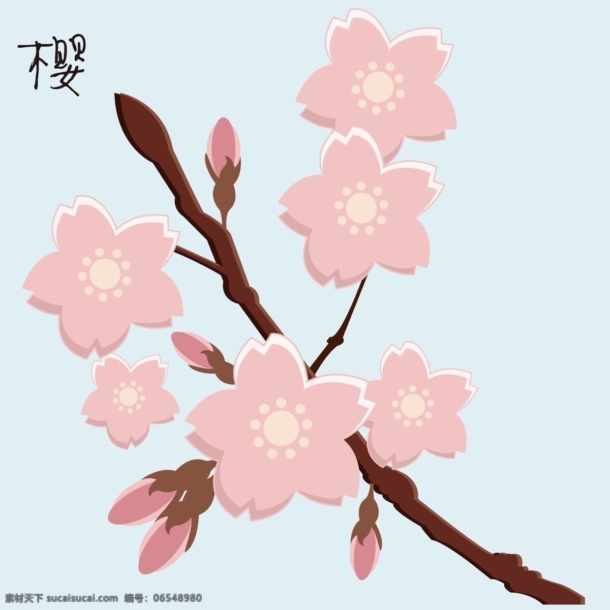 各种春天花卉 春天 花卉 花朵 桃花 植物 樱花 海棠 玉兰 二月兰 迎春花 迎春 花 元素 树枝 香 各种花卉
