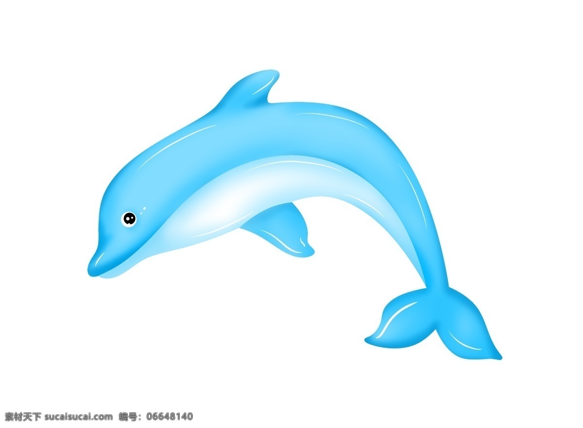 蓝色海洋海豚 海豚 动物 海洋生物