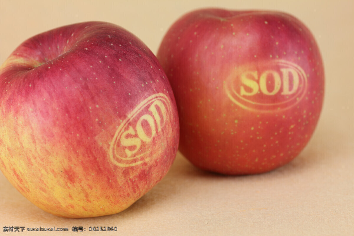 sod苹果 苹果 sod 水果 新鲜水果 水果干果 生物世界