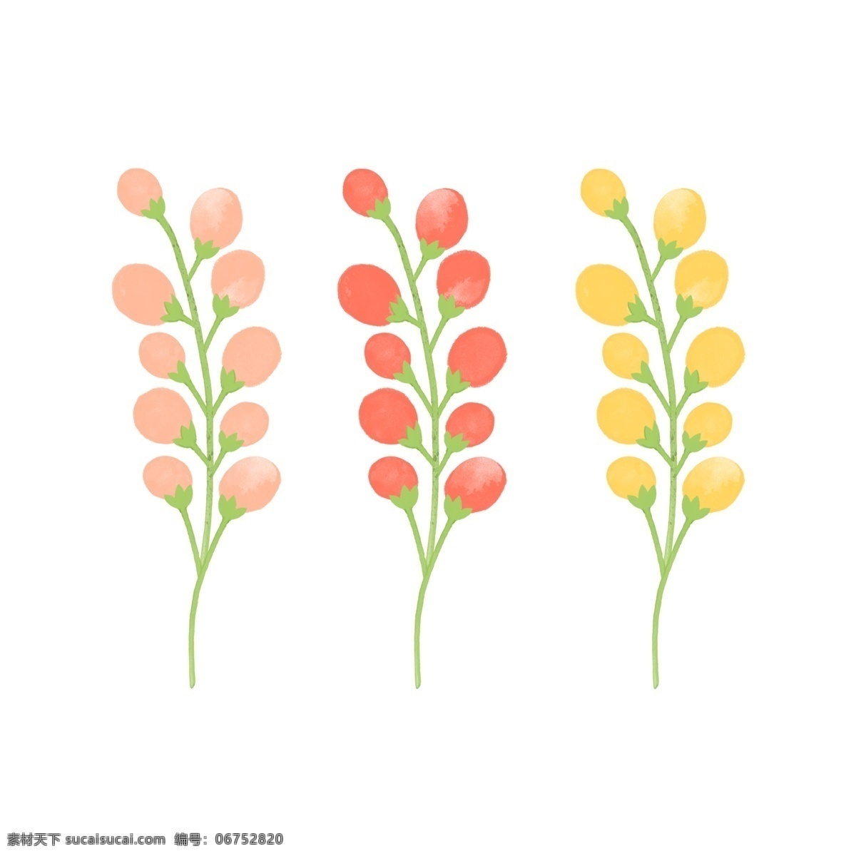 植物 结果 源文件 彩色 成熟 海报设计装饰 设计素材 淘宝素材 装饰