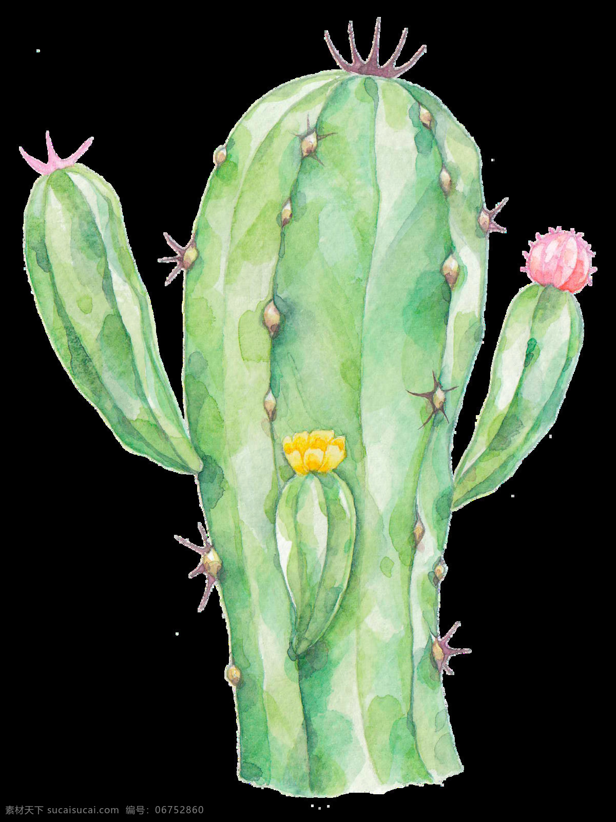 防辐射 仙人掌 透明 粉红色 黄色 绿色 免扣素材 透明素材 有刺 植物 装饰图案