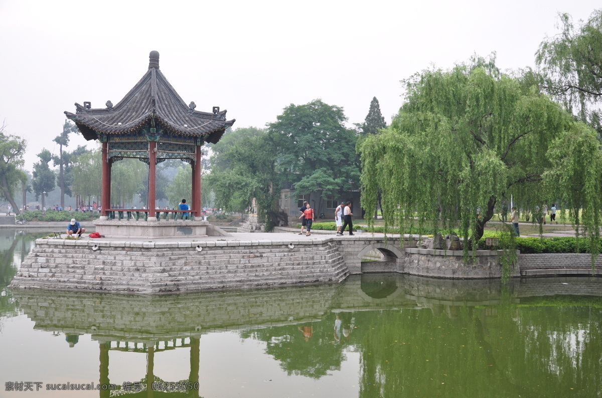 邢台 达 活 泉 风光 湖中亭 清风亭 亭 凉亭 自然风景 旅游摄影