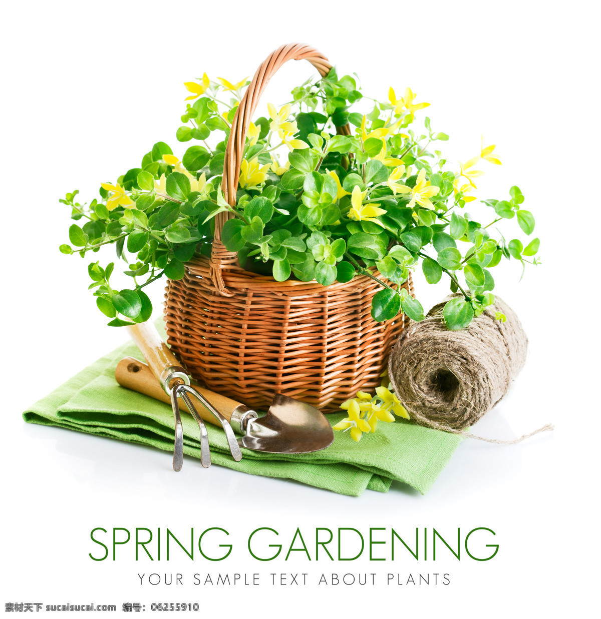 绿色花篮 绿色 植物 绿色植物 环保 花篮 毯子 春天 spring 花草 生物世界