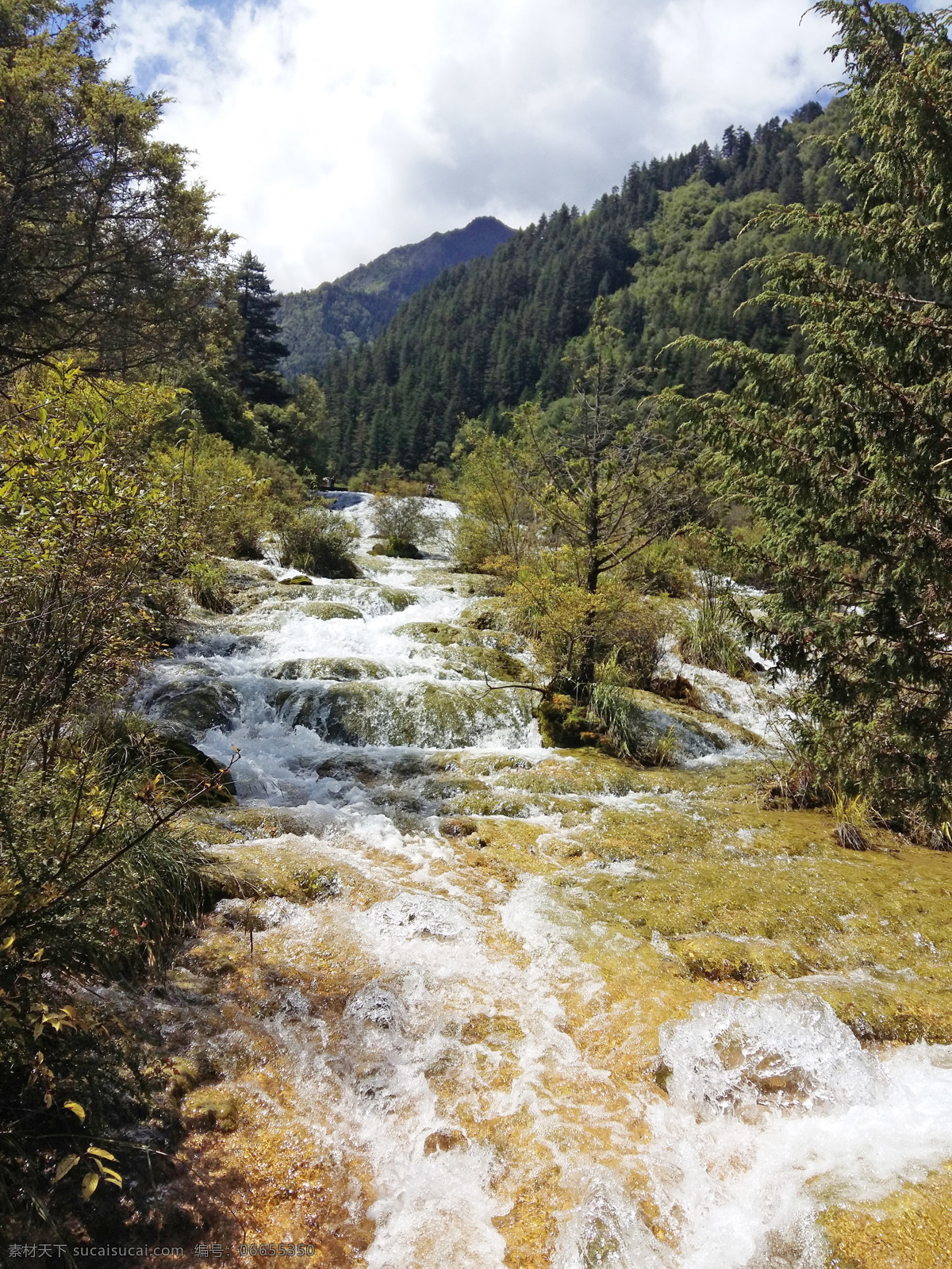 九寨沟 瀑布 风光 九寨沟风光 生态 白云 蓝天 树木 山水风光 山水湖泊 山水风景 自然景观 风景名胜