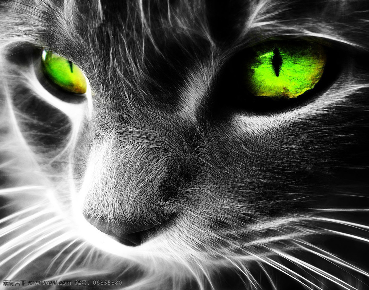 科幻发光猫 猫 发光猫 夜光猫 3d 服饰 设计图 3d打印 动物 科幻 性感 高冷 神秘 生物世界 野生动物