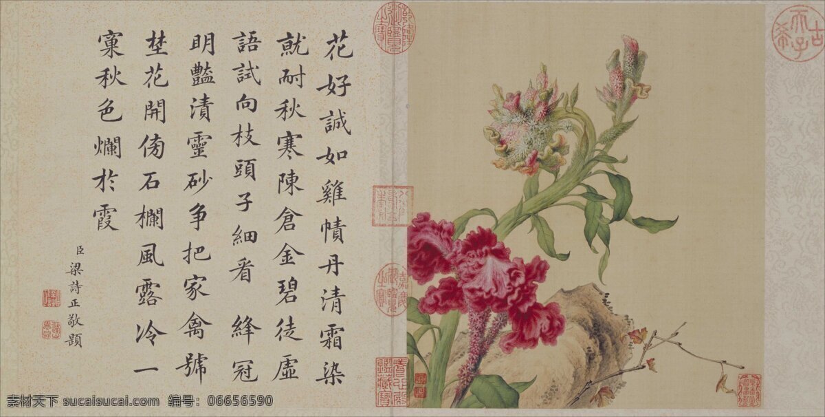 清 郎世宁 花鸟图册08 清朝国画 水墨画 花鸟图册 灰色