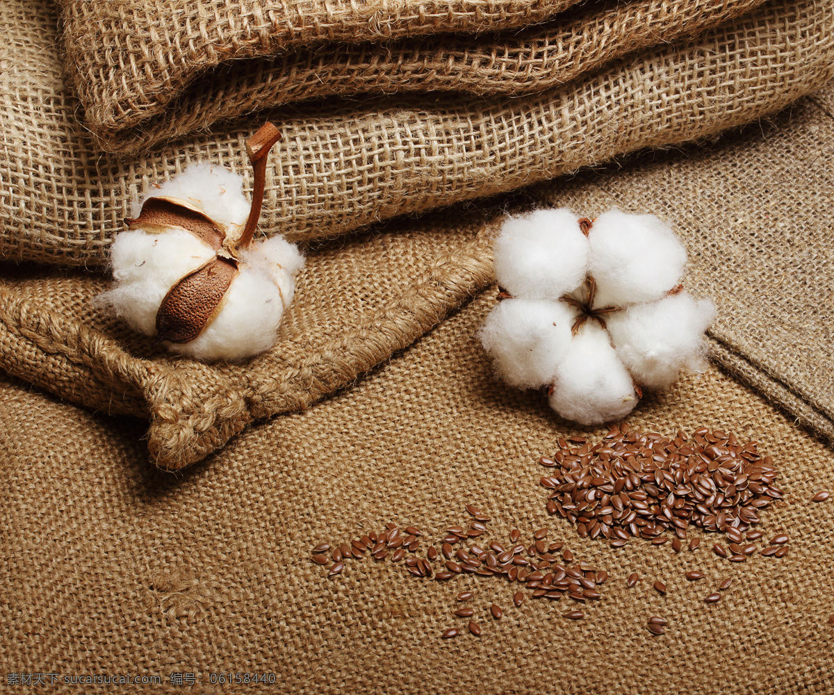 棉 袋 上 棉花 白棉花 棉被 植物 农业 农作物 棉花图片 农业生产 现代科技