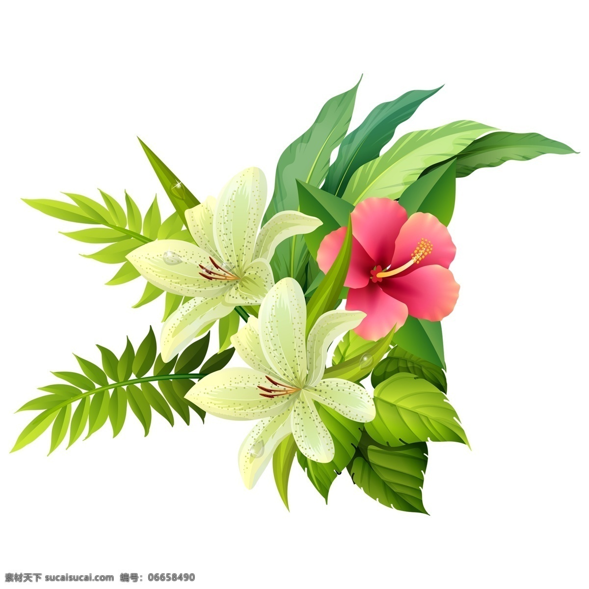 手绘 水彩 花卉 卡通 透明 可爱 鲜花 png免抠图 透明素材 装饰 免 抠 图