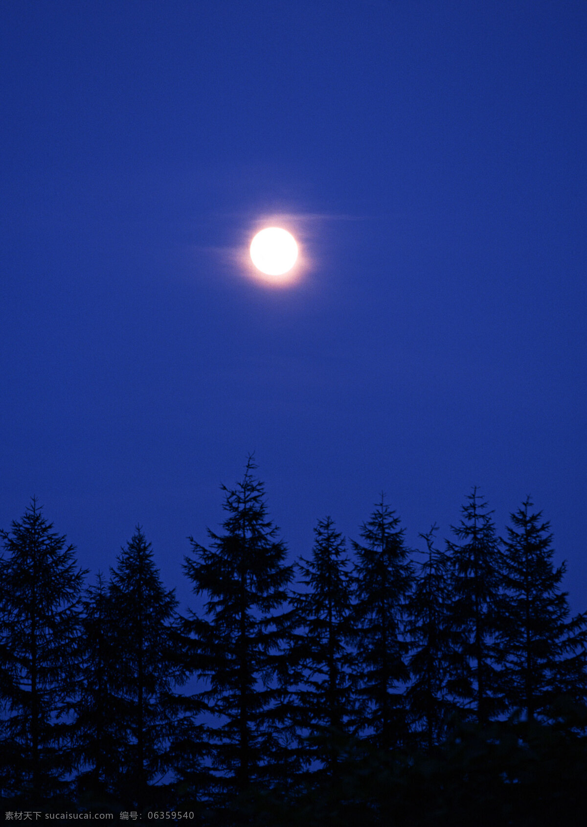 月夜 夜色 风景 月亮 蓝空 树林 山水风景 自然景观